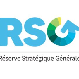 Logo RSG V1